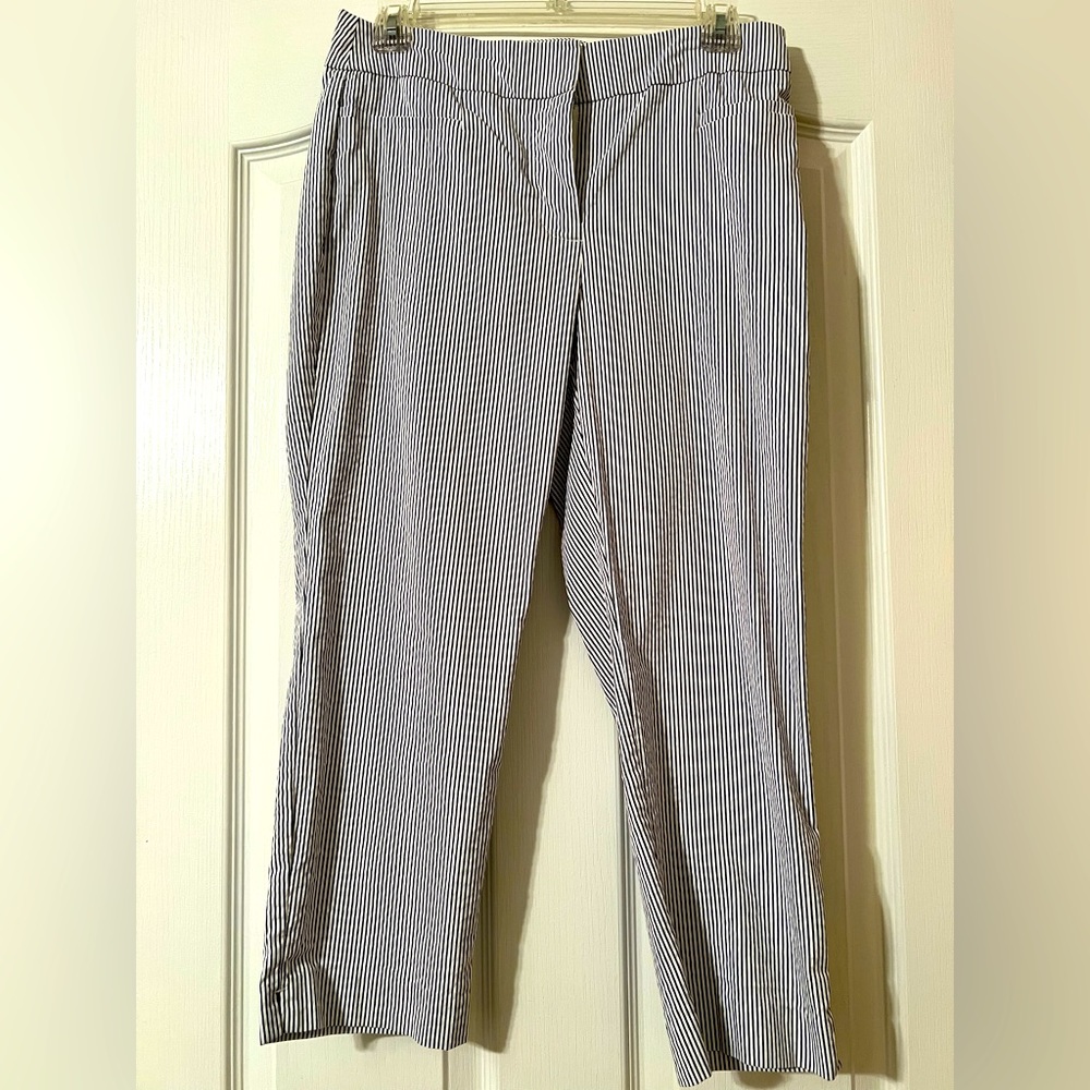 Ann Taylor Factory Navy Seersucker Cropped Pants